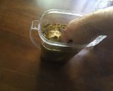 ドライフルーツで簡単本格酵素ドリンク作り方5写真