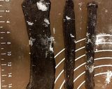 メッシュ★ミニオン パン作り方17写真