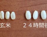 簡単自家製♪発芽玄米のごはん★ヘルシー作り方10写真