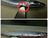丸ごと旨味♪さんまときのこの炊き込みご飯作り方1写真
