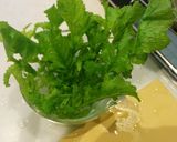 大根の葉の保存作り方4写真