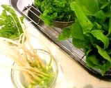 大根の葉の保存作り方6写真