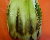 簡単な茄子大葉チーズ挟み焼き作り方6写真