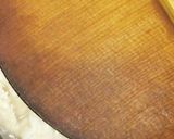 下茹でなし！簡単♪里芋と豚バラ肉の煮物作り方9写真