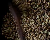 コーヒーをはじめから焙煎アイスコーヒー用作り方3写真