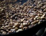 コーヒーをはじめから焙煎アイスコーヒー用作り方4写真