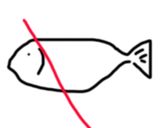 釣り人のためのコマイの天ぷら作り方1写真