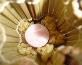 卵アレルギーっ子ＯＫ！フラワー巻き寿司風作り方12写真
