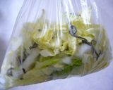 洗い物が少ない白菜の浅漬け作り方1写真