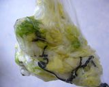 洗い物が少ない白菜の浅漬け作り方2写真