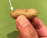 絶品❤︎圧力鍋で塩茹で落花生作り方5写真