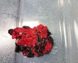 常備菜!シャキシャキ茹でキャベツの梅和え作り方4写真