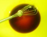 極薄が決め手！美味しいレバニラ炒め♪作り方13写真