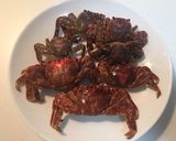 イワガニ塩茹で作り方4写真