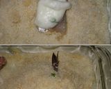 ケチケチ☆海老フライもどき作り方7写真
