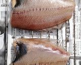 実録！自家製カレイの干物作り方11写真