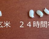 簡単自家製♪発芽玄米のごはん★ヘルシー作り方11写真