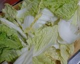 白菜の簡単浅漬け♪作り方1写真