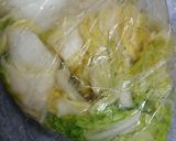 白菜の簡単浅漬け♪作り方3写真