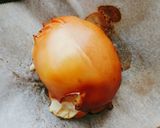 チーズくんたま作り方7写真