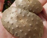 エアーポテト(宇宙芋)の天ぷら作り方1写真