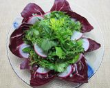 ディルと香菜のハーブサラダ作り方4写真