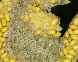 水煮大豆とちりめんじゃこの炊き込みごはん作り方5写真