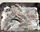 秋刀魚の蒲焼風竜田揚げ作り方5写真