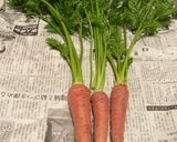 新鮮な人参葉が手に入ったら♬甘辛炒め作り方1写真