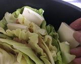 キャベツと鳥挽肉のほっこり鍋作り方11写真