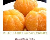 コンポートも楽勝！みかんのワタ＆筋取り作り方4写真