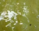 簡単自家製ふわふわ抹茶パウンドケーキ作り方7写真