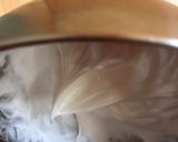 りんごのロールケーキ作り方3写真