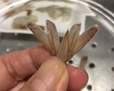 我が家の エビチリ作り方5写真