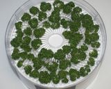ガッツリ系男の料理☆鶏肉のドライレモン煮作り方7写真