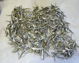 煮干し田作り作り方1写真