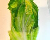簡単☆おでんや鍋に☆白菜ぐるぐる肉団子作り方4写真