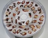 簡単ガッツリ系男の料理★干しタコでタコ飯作り方2写真