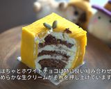 四角いモンブラン-かぼちゃとチョコレート作り方8写真