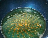 おツマミに!!カリッカリな★鶏皮ポン酢★作り方6写真