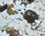 アウトドア飯　市販の甘栗で簡単土鍋ご飯作り方4写真