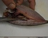 【とくしま郷土料理】あじ・ぼうぜの姿寿司作り方1写真