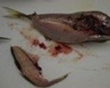 【とくしま郷土料理】あじ・ぼうぜの姿寿司作り方2写真