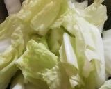 簡単！30分で食べれる白菜の漬物作り方1写真