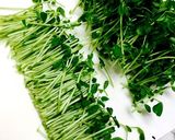 豆苗とちくわの簡単炒め作り方2写真