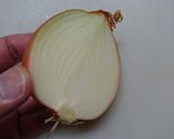 嫁絶賛♪減塩ロールキャベツ作り方1写真