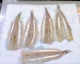 メギス（ニギス）の天丼 唐揚げ 刺身作り方6写真