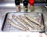 メギス（ニギス）の天丼 唐揚げ 刺身作り方22写真