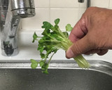 カイワレの種☆元気に振って☆100%落る作り方2写真