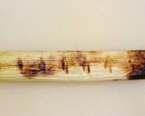 簡単！焼きネギと蛸のからし酢味噌作り方1写真
